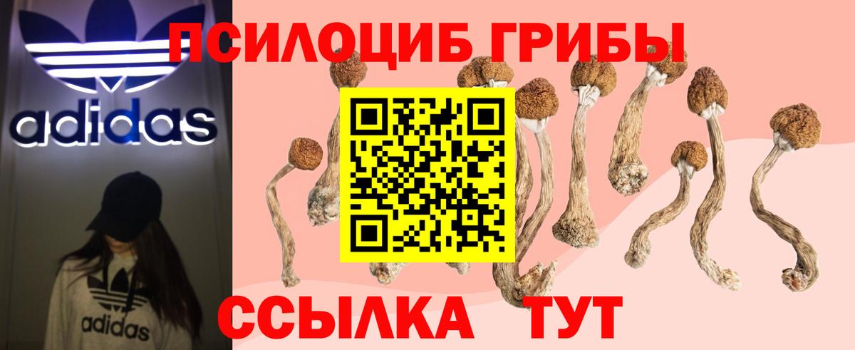 Псилоцибиновые грибы мицелий  Вход с VPN  Вятские Поляны 